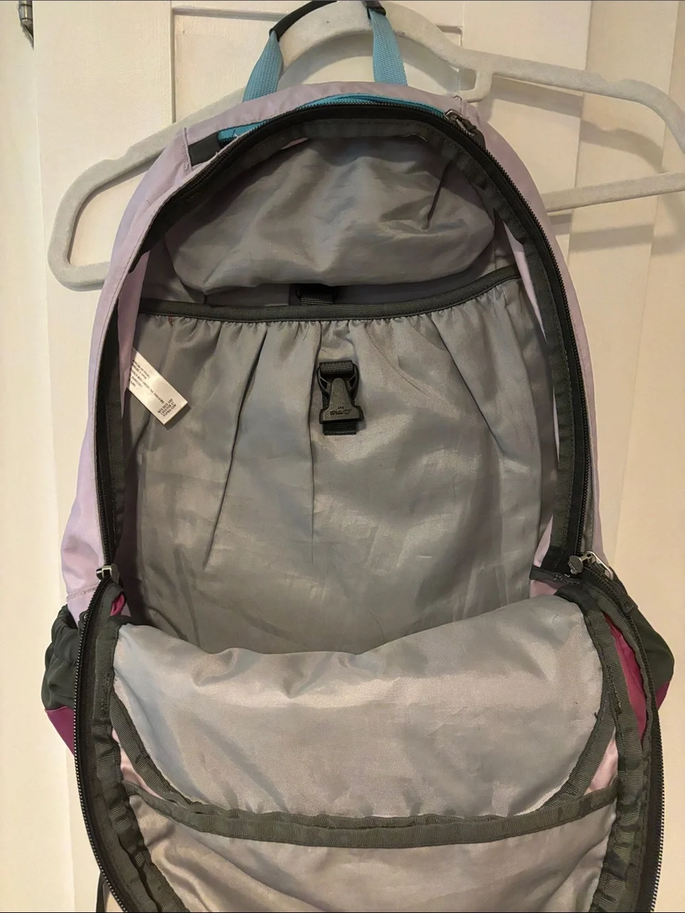 Patagonia Magenta and Lavender Daypack with Teal Accents